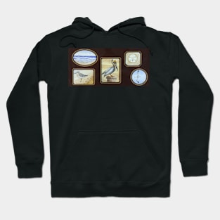 Beach Birds and Sand Dollar Hoodie